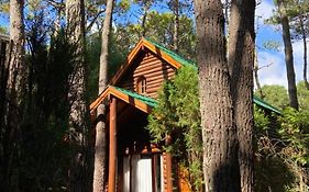 Cabañas y Apart Utopia